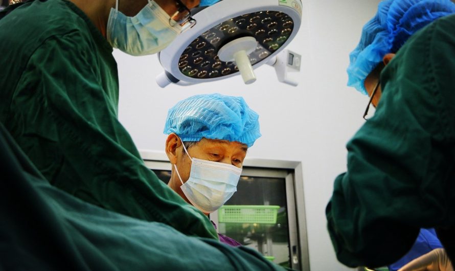 La chirurgie esthétique des stars : qui a succombé ?